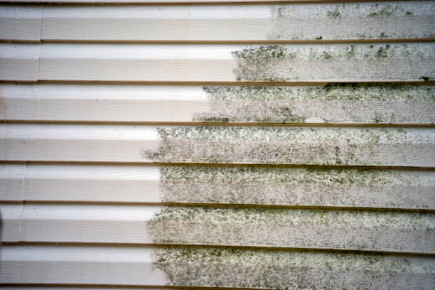 Reliable Escondido, CA Siding Installation & Repair Solutions