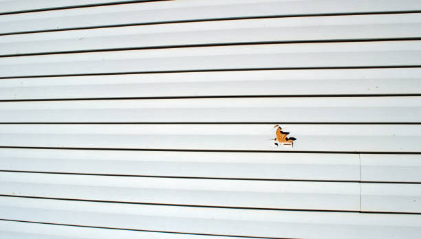Best Fascia and Soffit Installation  in Escondido, CA