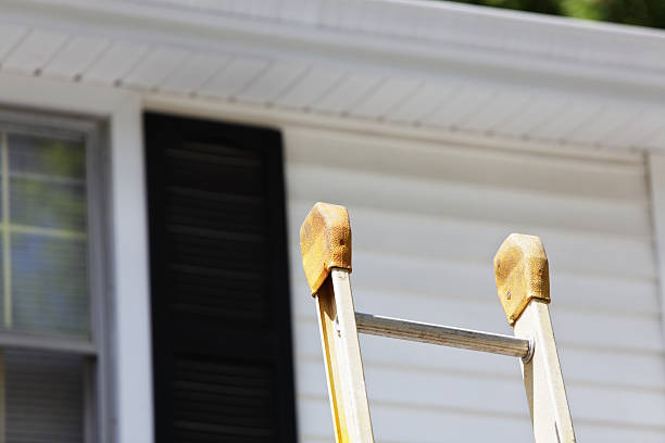 Best Insulated Siding Installation  in Escondido, CA