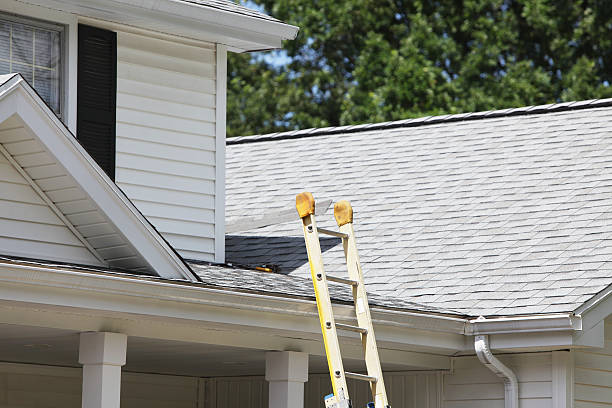 Best Wood Siding Installation  in Escondido, CA