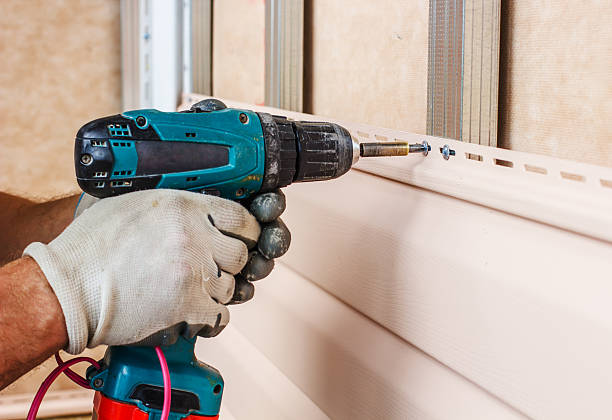 Best Custom Siding Design  in Escondido, CA
